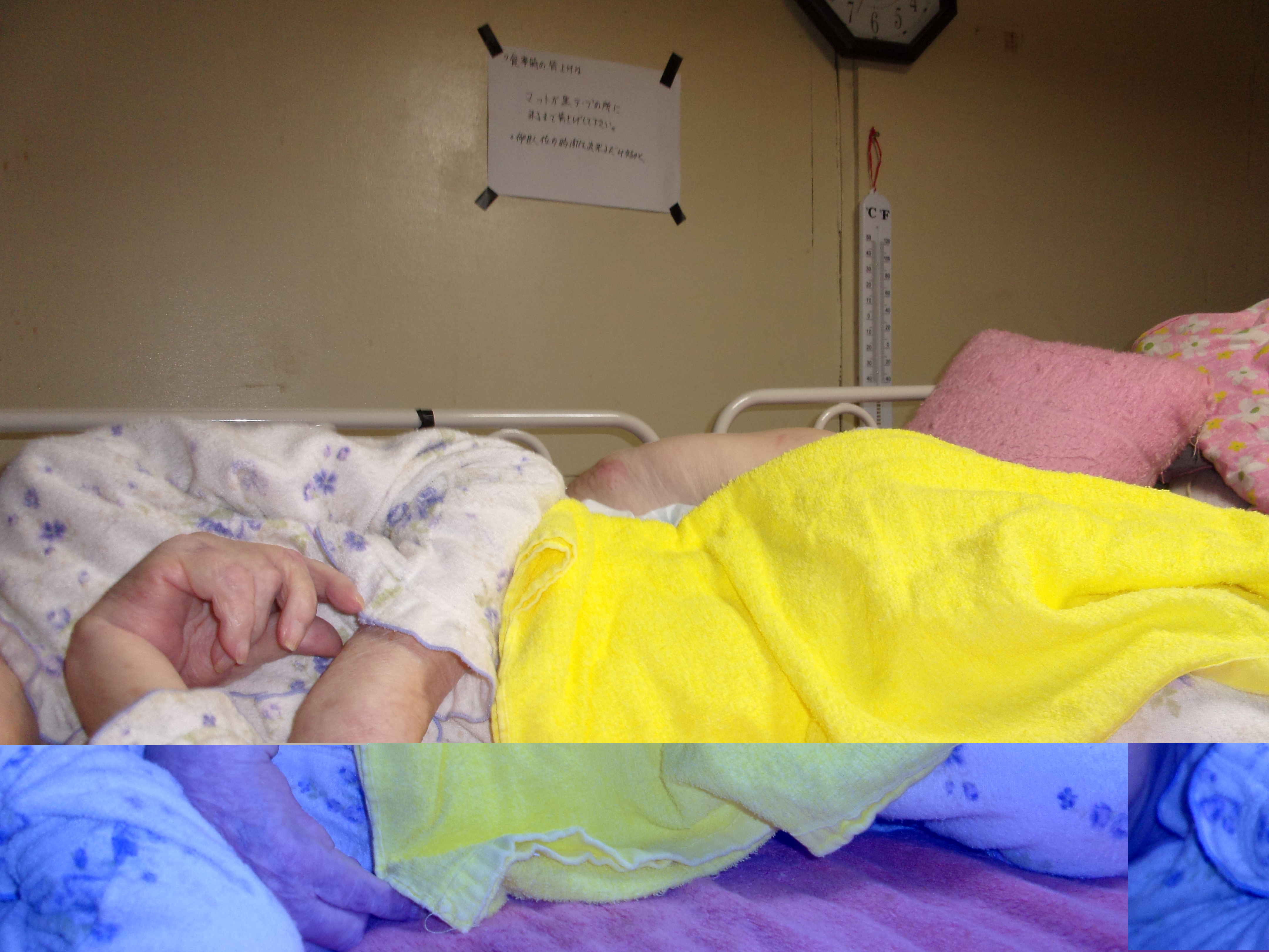 ���b�v��\��